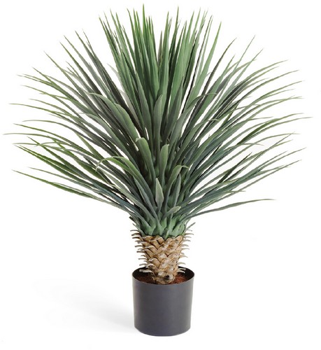 Юкка Рострата куст Де Люкс в-85 см 2/2