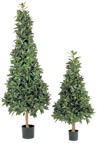 Лавр пирамида люкс 