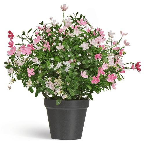 Полевые цветы микс куст Малый нежно-розовый с белым