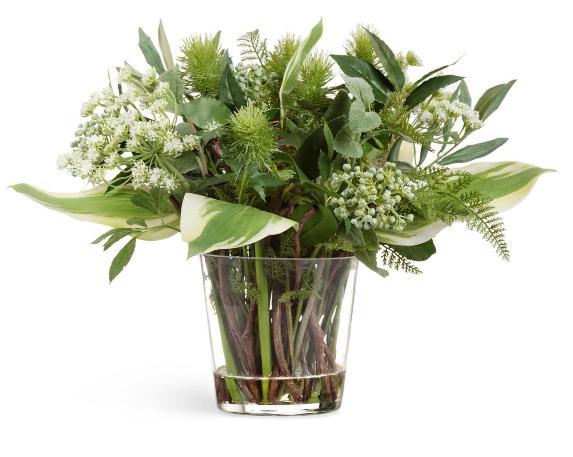 Грин лайфстайл (Green Lifestyle) в стеклянной вазе с водой