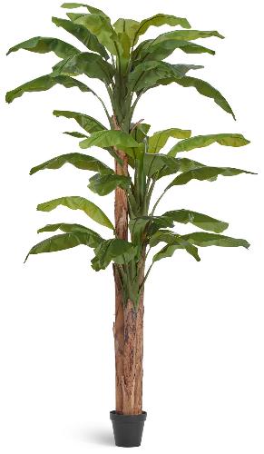Банановое дерево в-280 см (31 лист и 3 ствола)