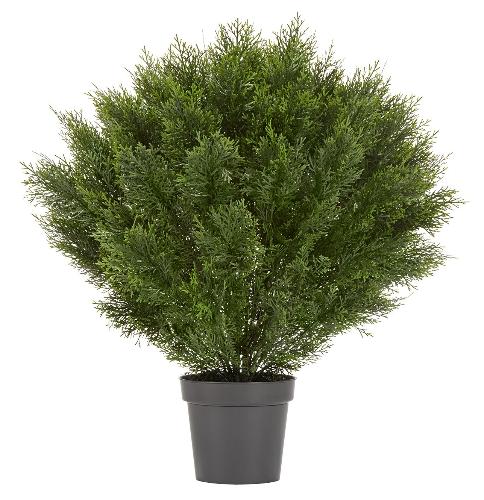 Туя уличная Брабант шаровидная в-90 см