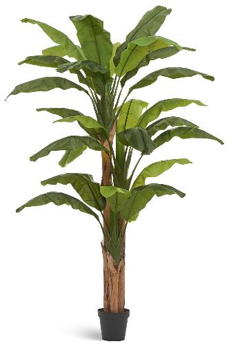 Банановое дерево в-245 см (26 листов и 3 ствола)