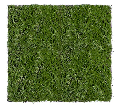 Мох Микс Рясковый-Сфагнум (полотно) большое