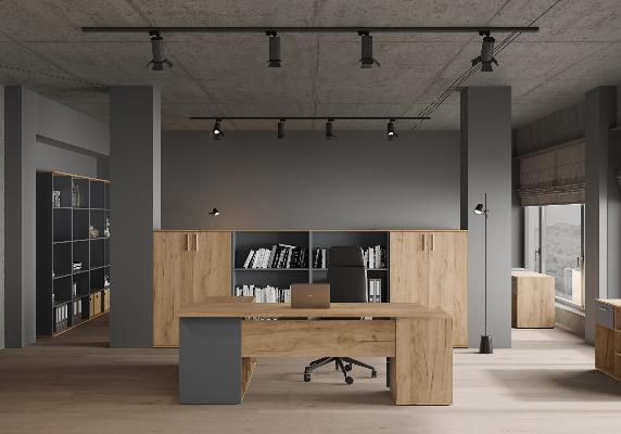 Зион лайт (Zion Light)