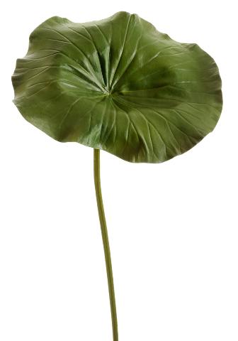 Лист Лотоса Большой