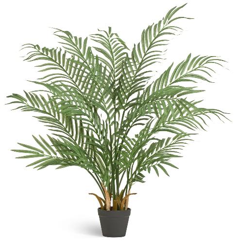 Пальма Арека Форест 110 см (15 веток) 2/2