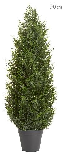 Туя уличная Брабант пушистая