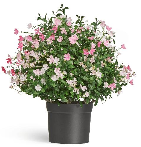 Полевые цветы микс куст большой нежно-розовый с белым