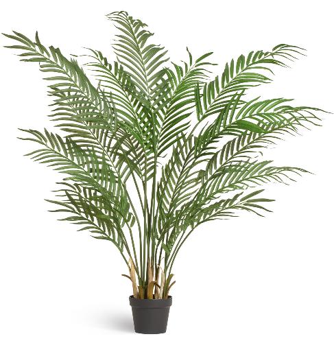 Пальма Арека Форест 140 см (18 веток) 1/1