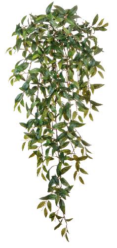 Традесканция зеленая ампельная