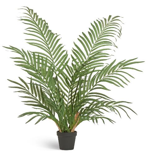 Пальма Арека Форест (12 веток)