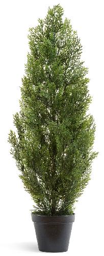 Туя Эйр Элеганс уличная