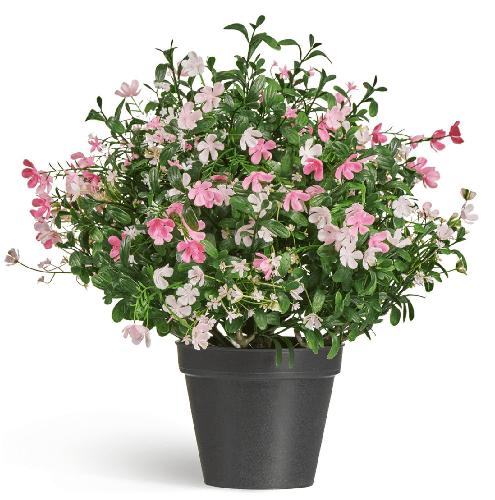 Полевые цветы микс куст средний нежно-розовый с белым