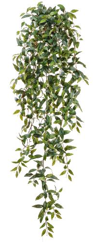 Традесканция зеленая ампельная